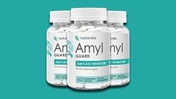 amyl guard amyl guard