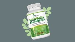 moringa meggic moringa meggic